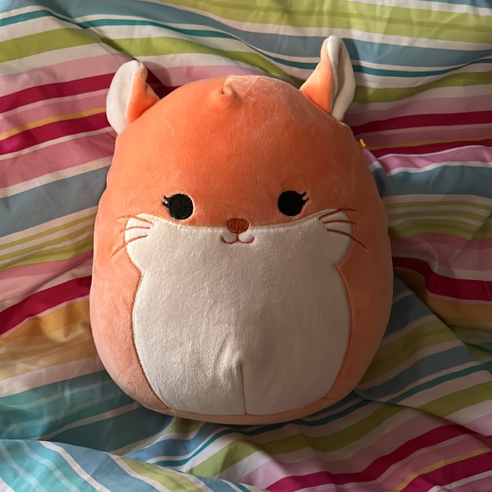 🍑𝓔𝓻𝓲𝓬𝓪🍑the chinchilla